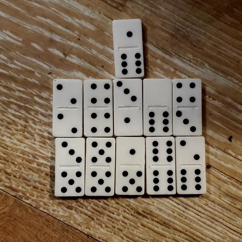 Classic White Domino Set
